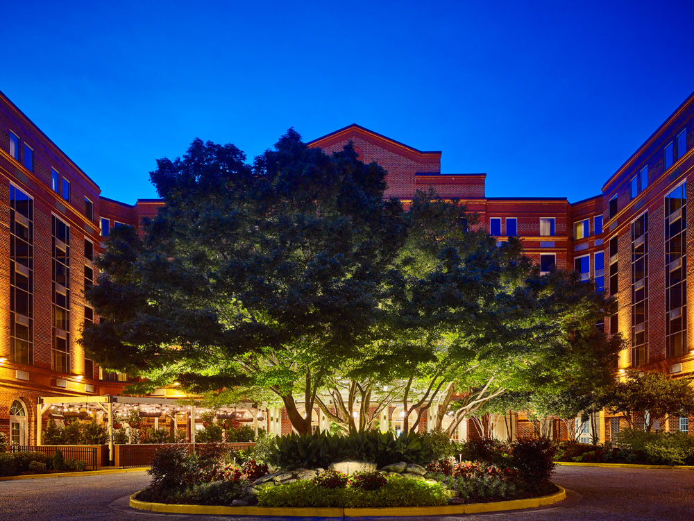 Japanese Maple Trees at entrance circle of The Hotel at Auburn University & Dixon Conference Center 