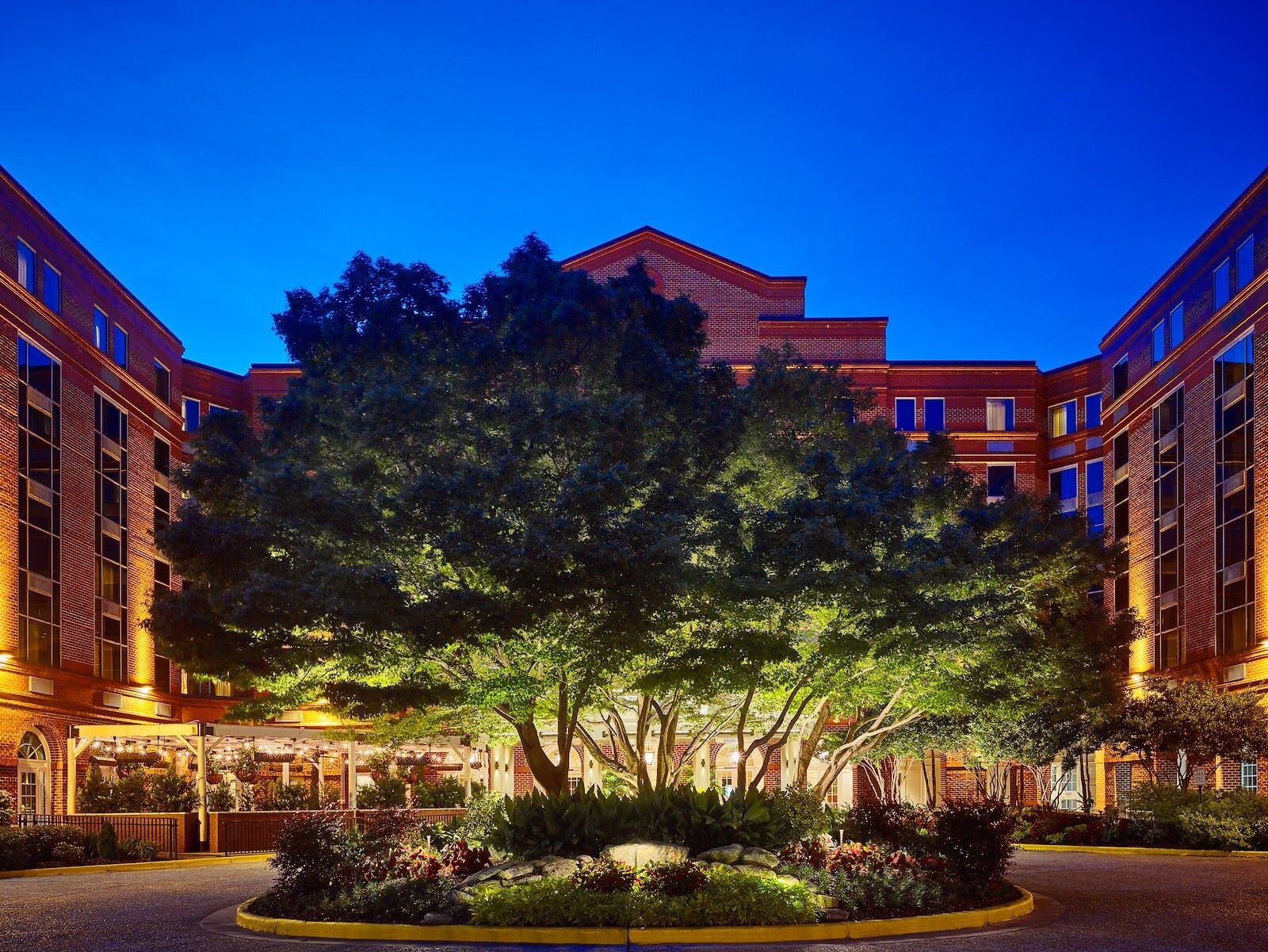 Front Entrance with Tree